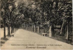 1912 Kismarton, Eisenstadt; Gesztenyefasor a hercegi várkertben / Kastanien Allee im Fürstl. Schlosspark / promenade in castle park (ragasztónyom / gluemark)