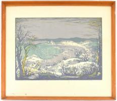 Török Endre (1926-1980): Balaton. Színes linómetszet, papír, jelzett, számozott (100/77). Üvegezett ...