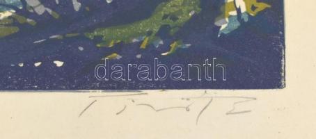 Török Endre (1926-1980): Balaton. Színes linómetszet, papír, jelzett, számozott (100/77). Üvegezett ...