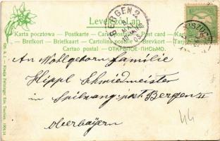 1905 Zsolna, Sillein, Zilina; Budatin vár a Vágnál, kastély. Kiadja Feitzinger Ede 626. A.J. 1904/14...