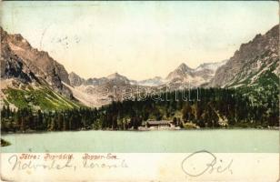 1906 Tátra, Magas Tátra, Vysoké Tatry; Poprádi-tó. Cattarino S. kiadása 214. sz. / Popper-See / Popradské pleso / lake (fl)