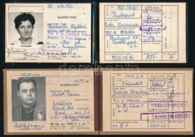 1950-1966 4 db igazolvány (Délmagyarországi Rostkikészítő Nemzeti Vállalat személyazonossági igazolvány, Magyar Állami Földtani Intézet, stb.)