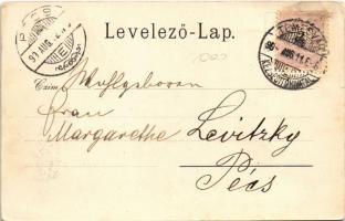 1899 Temesvár, Timisoara; Józsefváros, Vasúti indóház, vasútállomás. Uhrmann Henrik kiadása / Bahnho...