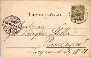 1903 Marosvásárhely, Targu Mures; Sörház utca, villa. Petróczy G. kiadása / street view, villa