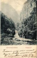 Herkulesfürdő, Herkulesbad, Baile Herculane; híd. Alfred Jäger kiadása / bridge (Rb)