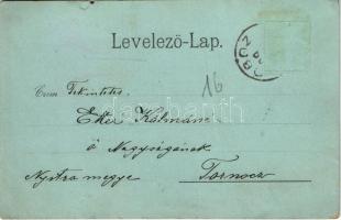 1899 Félixfürdő, Baile Felix; Gyógyforrás a fürdőben. Helyfi László kiadása / spa, bath, spring sour...