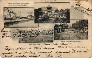 1904 Zsigmondháza (Türje), Vasútállomás, iparvágány, cement árutelep, faraktár, villa, major egy része, téglaégető telep a nyíresben (kopott sarkak / worn corners)