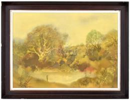 Szekeres Emil (1934-2019): Erdei tó. Olaj, farost. Jelzett. Hátoldalán autográf felirattal és Koszta...