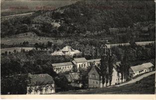 Bázna, Felsőbajom, Baassen, Baiumul de Sus; látkép. Grünwald J. kiadása / general view (EK)