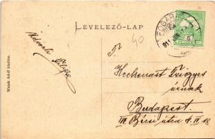 1911 Fogaras, Fagaras; Apafi fejedelem kastélya, vár. Wazek Adolf kiadása / Cetatea Fagarasului / Ka...