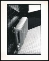 cca 1990 5 db művészfotó, egyiken William S. Burroughs (1914-1997) író, P. Gál jelzéssel, többi jelz...