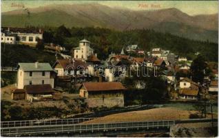 1908 Sinaia, Piata Noua / bridge, villa