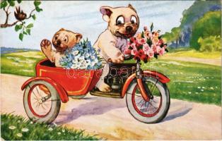 Bonzo dog in motorcycle with sidecar. W.S.S.B. 8372. (EK)