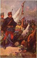 Ne bántsd a szent koronát! A m. kir. honvédelmi minisztérium hadsegélyező hivatala kiadása / WWI Austro-Hungarian K.u.K. military art postcard, patriotic propaganda, charity fund (EB)