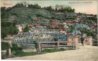 Kolozsvár, Cluj; Erzsébet híd, fellegvár / bridge, Cetatuia
