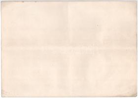 Budapest 1926. "Felsőmagyarországi Bánya-és Kohómű Részvénytársaság" öt részvénye egyben, ...