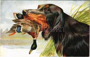 1925 Hunters dog with duck. Italian art postcard C.C.M. 1003. s: Morfini (fl)