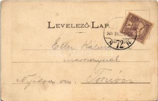 1901 Budapest XI. Gellért-hegy, gőzhajó. Fénynyomat Divald műintézetéből (EB)