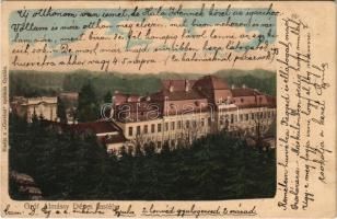 1905 Gyula, Gróf Almásy Dénes kastély. "Corvina" nyomda kiadása