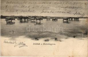 1900 Visegrád, látkép, vár, gőzhajó. Divald Károly 169. sz.  (EK)