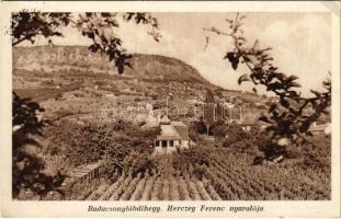 1934 Badacsonylábdihegy (Badacsonytördemic), Herczeg Ferenc nyaralója, villa, szőlő (EK)