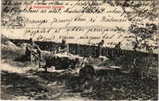 1908 Badacsony, a badacsonyi rózsakő. Mérei Ignác kiadása + PRAGERHOF - BUDAPEST 8 B vasúti mozgóposta bélyegző