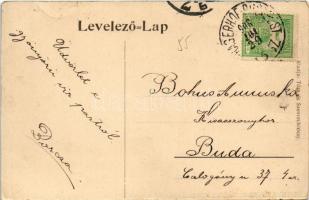 1908 Balatonvilágos, Alsó villasor. Tóth és Szentmiklóssy kiadása