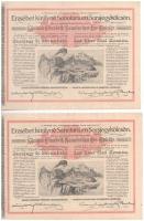 Budapest 1904. "Erzsébet királyné Sanatorium Sorsjegykölcsön" sorsjegye 5K értékben (2x), magyar és német nyelvű, szárazpecséttel T:II