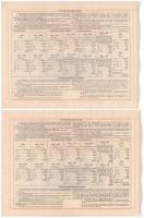 Budapest 1904. "Erzsébet királyné Sanatorium Sorsjegykölcsön" sorsjegye 5K értékben (2x), ...