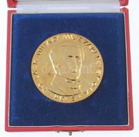 DN "Pollack Mihály Műszaki Főiskola" aranyozott Br emlékérem eredeti tokban (60mm) T:1-