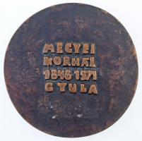 1971. "Megyei Kórház - 1846 1971 - Gyula" kétoldalas, öntött Br plakett. Szign.: LF (86mm)...