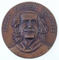 Horváth Sándor (1956- ) 1989. Albert Einstein 1879-1955 öntött Br emlékérem (108mm) T:1-