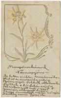 1930 Havasi gyopár, igazi élő virág kiszárítva / Greeting card with real dried edelweiss flower (EK)