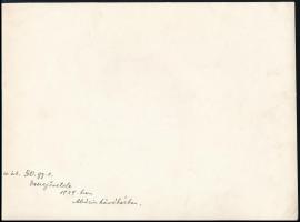 1939 a cs. és kir. 50. gyalogezred tisztjeinek összejövetele az Abbázia kávéházban. 24x17 cm