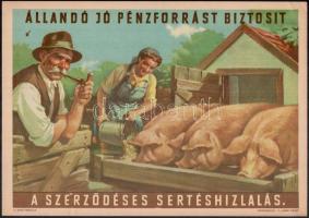 cca 1960 Állandó jó pénzforrást biztosít a szerződéses sertéshízlalás, s.: Pál György.. Villamosplakát. 33,5x24 cm