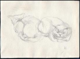 Olvashatatlan jelzéssel: Macskák. Ceruza, papír, 15x21 cm