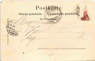 1903 Zürich, Tonhalle / concert hall (EB)