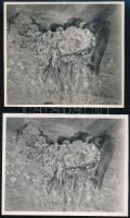 cca 1936 Verőce, Kinszki Imre (1901-1945) budapesti fotóművész hagyatékából, 4 db pecséttel jelzett, vintage fotó, az egyik feliratozva is (Füsti fecskék fészke Verőcén), 12,5×14,5 cm