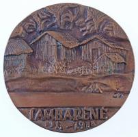 Ócsai Károly (1938-2011) DN "Dr. Albert Schweitzer / Lambréné 1913-1988" kétoldalas, öntöt...