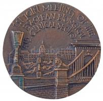 Kiss Sándor (1925-1999) 1983. "Nemzetközi Gerontológiai Társaság - Budapest 1983. szeptember 1-3. / Az európai biológiai és klinikai szekció első közös gyűlése" Br emlékérem (~97mm) T:2 Hungary 1983."International Association of Gerontology - Budapest, Hungary 1-3 September 1983. / 1st Joint meeting of the European Biological and Clinical Section" Br commemorative medal. Sign.: Sándor Kiss (~97mm) C:XF Cs. M. 1065.