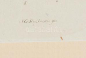 Üvegezett fa keretben nyomat növényről. 29x21 cm