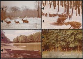 1980 Tolna megyei idegenforgalmi hivatal Szekszárd-Gemenc vadrezervátum 10 db fotó 9x14 cm
