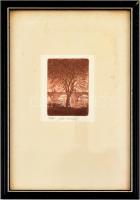 Olvashatatlan jelzéssel, 2 db vásroi látkép híddal. Rézkarc, papír, számozott. Üvegezett fa keretben...