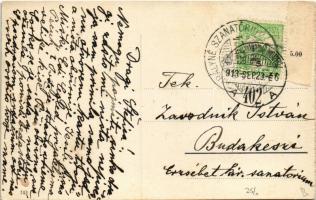 1913 Crikvenica, Cirkvenica; kikötő, gőzhajó / port, steamship + "FIUME - ÚJDOMBÓVÁR - BUDAPEST...