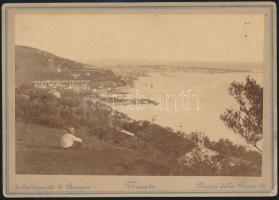 cca 1885 Trieszt, Gaetano Alberty felvétele, keményhátú vintage fotó, 11,5x16,4 cm