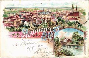 1899 Pardubice, general view. F. Hoblik Art Nouveau, floral, litho (cut)