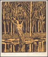 Kőhegyi Gyula (1933-): Őszi napsütés. Linómetszet, papír, jelzett, 43×30,5 cm