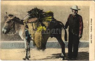 Napoli, Naples; venditore di erbaggi / herbs vendor, donkey (fa)