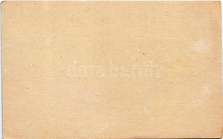 Kiskunfélegyháza, látkép, városháza (b)