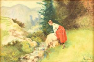 Neogrády A jelzéssel: Hölgy a forrásnál. Olaj, karton. Üvegezett fa keretben. 20x30 cm